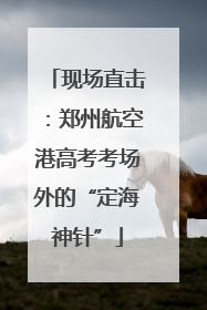 现场直击：郑州航空港高考考场外的“定海神针”