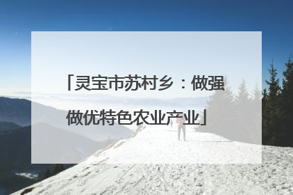 灵宝市苏村乡：做强做优特色农业产业
