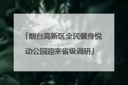 烟台高新区全民健身悦动公园迎来省级调研