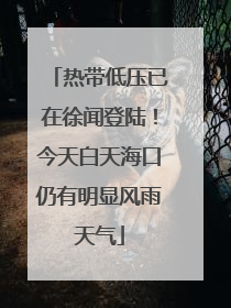 热带低压已在徐闻登陆！今天白天海口仍有明显风雨天气