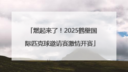 燃起来了！2025鹤壁国际匹克球邀请赛激情开赛