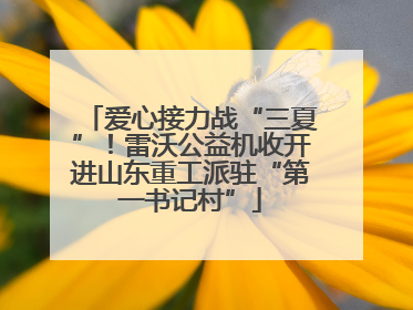 爱心接力战“三夏”！雷沃公益机收开进山东重工派驻“第一书记村”