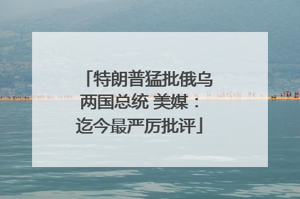 特朗普猛批俄乌两国总统 美媒：迄今最严厉批评