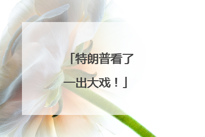特朗普看了一出大戏！