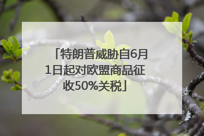 特朗普威胁自6月1日起对欧盟商品征收50%关税