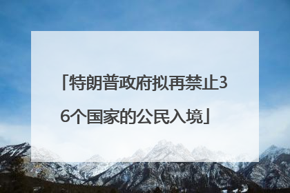 特朗普政府拟再禁止36个国家的公民入境