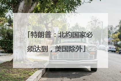 特朗普：北约国家必须达到，美国除外
