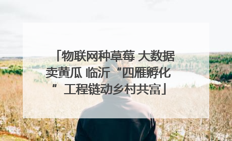 物联网种草莓 大数据卖黄瓜 临沂“四雁孵化”工程链动乡村共富