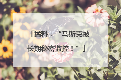 猛料：“马斯克被长期秘密监控！”
