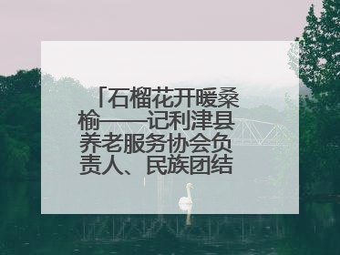 石榴花开暖桑榆——记利津县养老服务协会负责人、民族团结践行者魏喜凤