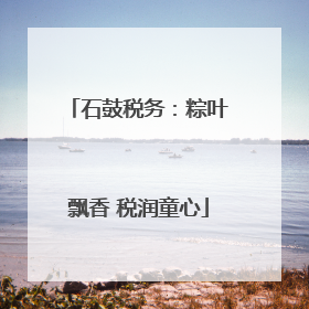 石鼓税务：粽叶飘香 税润童心