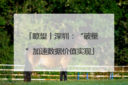 瞭望丨深圳：“破壁”加速数据价值实现