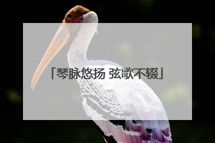 琴脉悠扬 弦歌不辍