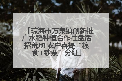 琼海市万泉镇创新推广水稻种植合作社盘活撂荒地 农户喜提“粮食+钞票”分红