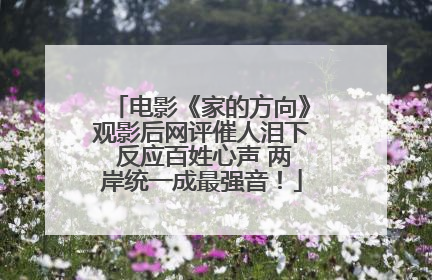 电影《家的方向》观影后网评催人泪下 反应百姓心声 两岸统一成最强音！