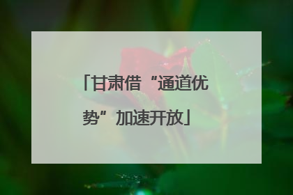 甘肃借“通道优势”加速开放