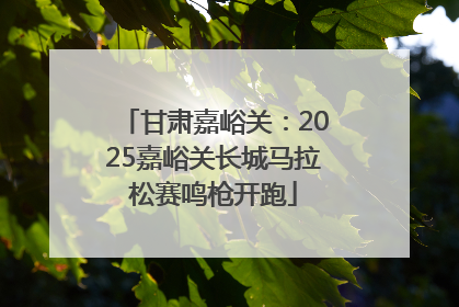 甘肃嘉峪关：2025嘉峪关长城马拉松赛鸣枪开跑