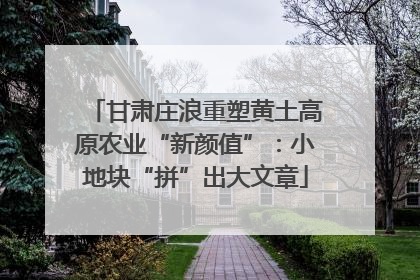 甘肃庄浪重塑黄土高原农业“新颜值”：小地块“拼”出大文章