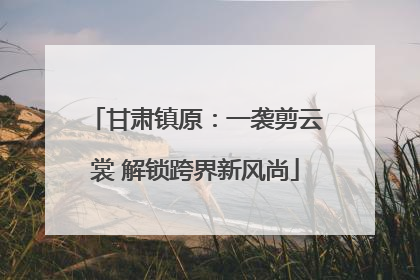 甘肃镇原：一袭剪云裳 解锁跨界新风尚
