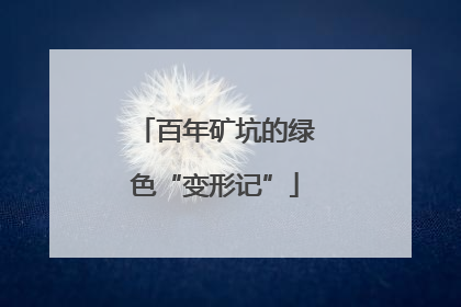 百年矿坑的绿色“变形记”