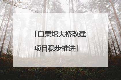 白果坨大桥改建项目稳步推进