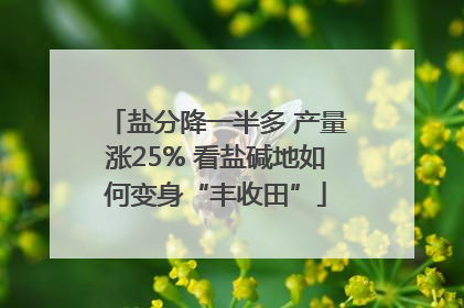 盐分降一半多 产量涨25% 看盐碱地如何变身“丰收田”