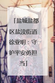 盐城盐都区盐渎街道徐亚明：守护平安勇担当
