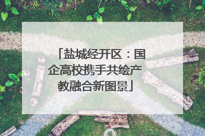 盐城经开区：国企高校携手共绘产教融合新图景