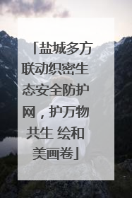 盐城多方联动织密生态安全防护网，护万物共生 绘和美画卷