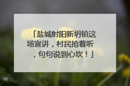 盐城射阳新坍镇这场宣讲，村民抢着听，句句说到心坎！