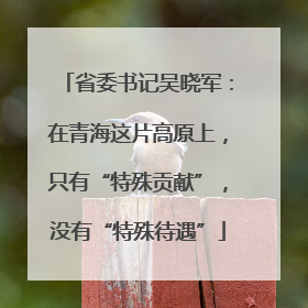 省委书记吴晓军：在青海这片高原上，只有“特殊贡献”，没有“特殊待遇”