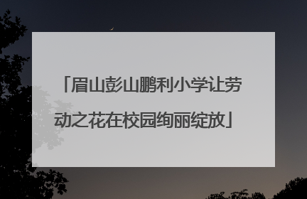 眉山彭山鹏利小学让劳动之花在校园绚丽绽放