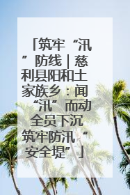 筑牢“汛”防线｜慈利县阳和土家族乡：闻“汛”而动 全员下沉筑牢防汛“安全堤”