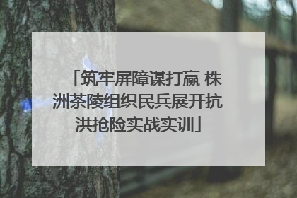 筑牢屏障谋打赢 株洲茶陵组织民兵展开抗洪抢险实战实训