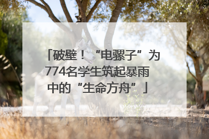 破壁！“电骡子”为774名学生筑起暴雨中的“生命方舟”
