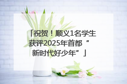 祝贺！顺义1名学生获评2025年首都“新时代好少年”