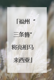 福州“三条簪”将亮相马来西亚