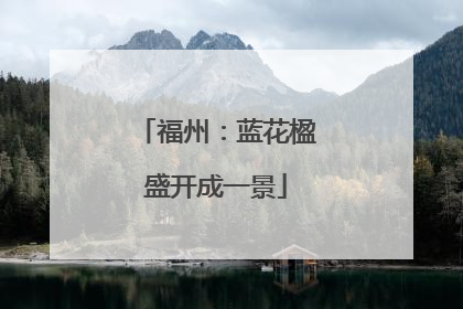福州：蓝花楹盛开成一景