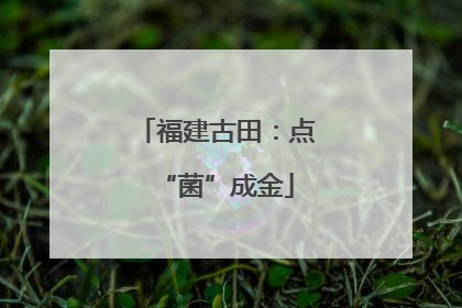 福建古田：点“菌”成金