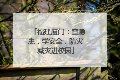 福建厦门：查隐患，学安全，防灾减灾进校园
