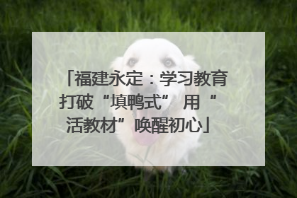 福建永定：学习教育打破“填鸭式” 用“活教材”唤醒初心