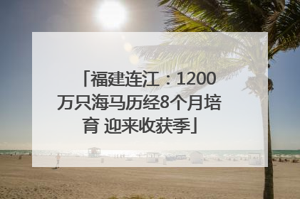 福建连江：1200万只海马历经8个月培育 迎来收获季