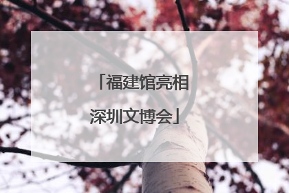 福建馆亮相深圳文博会