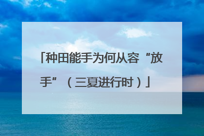 种田能手为何从容“放手”（三夏进行时）