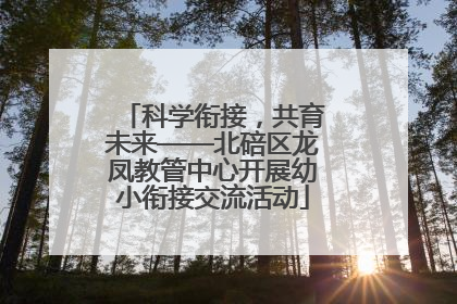 科学衔接，共育未来——北碚区龙凤教管中心开展幼小衔接交流活动