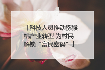 科技人员推动猕猴桃产业转型 为村民解锁“富民密码”
