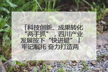 科技创新、成果转化“两手抓”，四川产业发展按下“快进键”丨牢记嘱托 奋力打造两高地两基地一屏障