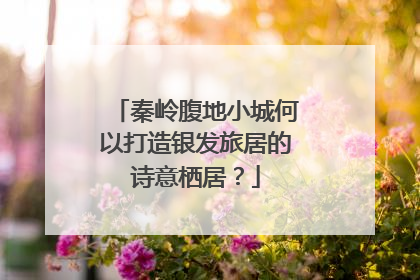 秦岭腹地小城何以打造银发旅居的诗意栖居？