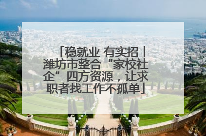 稳就业 有实招丨潍坊市整合“家校社企”四方资源，让求职者找工作不孤单