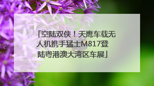 空陆双侠！天鹰车载无人机携手猛士M817登陆粤港澳大湾区车展
